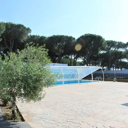 Mayorazgo-solo Familias